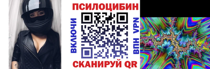 блэк спрут ТОР  купить наркотики сайты  даркнет Telegram  Галлюциногенные грибы прущие грибы  Каменск-Шахтинский 